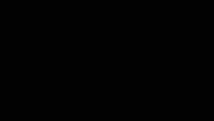 Штакетник М-образный А фигурный 0,45 Drap RAL 9005 черный